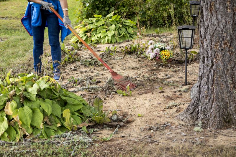 Products For Ditch Clearings in use