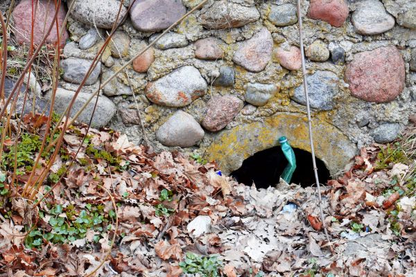 Culvert Clearing