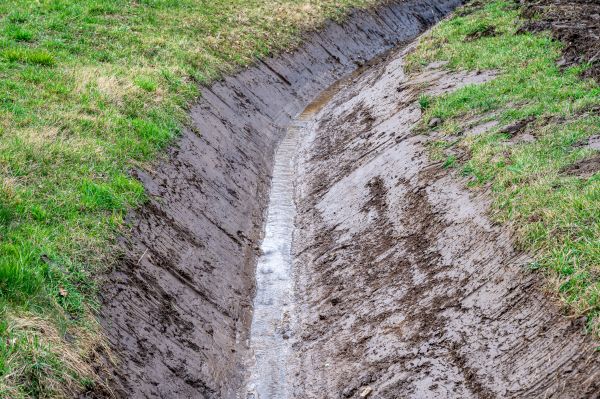 Drainage Ditch Clearing