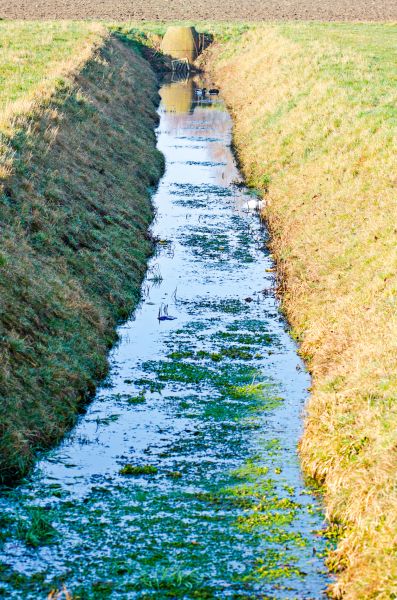 Drainage Ditch Debris Removal